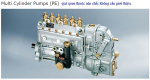 Multi Cylinder Pump.png