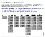 Injection Pump Types.png